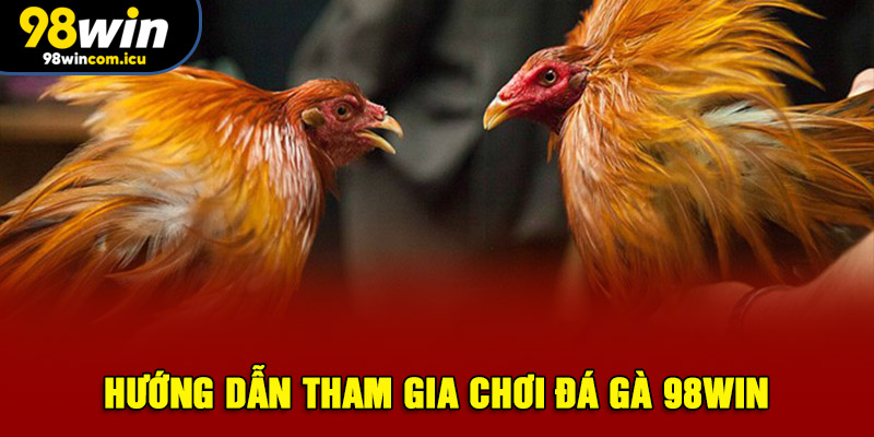Hướng dẫn tham gia chơi đá gà 98WIN