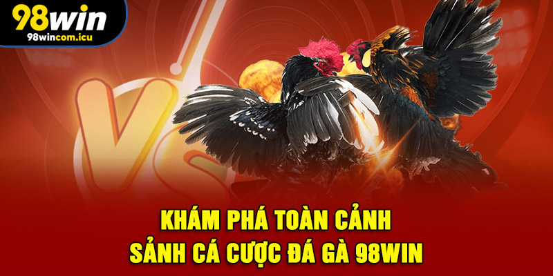Khám phá toàn cảnh sảnh cá cược Đá Gà 98WIN